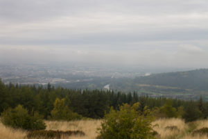 Moncreiffe Hill, Perthshire, Scotland Travel Guide