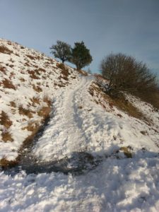 Birnham Hill, Perthshire, Scottish Travel Blog