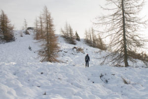 Birnham Hill, Perthshire, Scottish Travel Blog