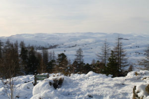Birnham Hill, Perthshire, Scotland Travel Guide