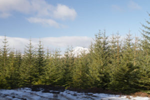 Highland Safaris, Perthshire, Get off the A9, Travel Guide to Scotland