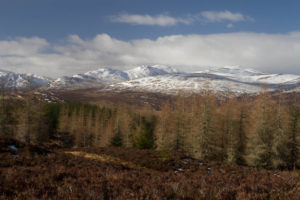 Highland Safaris, Perthshire, Get off the A9, Scotland, Travel Blog