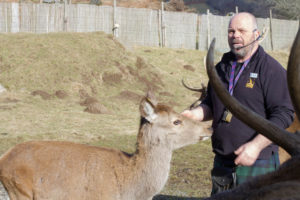 Highland Safaris, Perthshire, LandRover Tour, Scottish Travel Blog