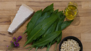 Wild Garlic Pesto Recipe, Scotland Travel Blogger, Scotland, Foraging