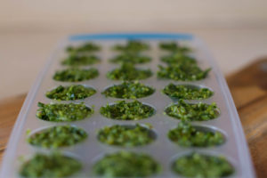 Wild Garlic Pesto Recipe, Scotland, Perthshire, Foraging