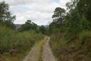 Mar Lodge Estate, Cairngorms
