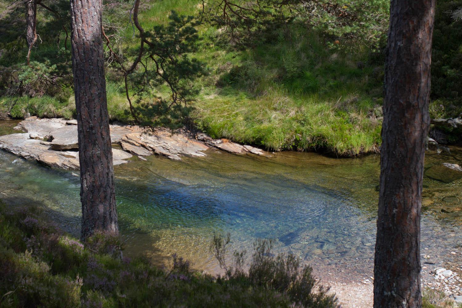 Lui Water, Mar Lodge Estate. Perfectly clear water running over rocks
