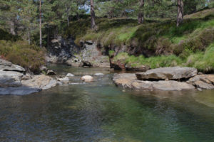 Lui Water, Mar Lodge Estate
