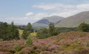 Mar Lodge Estate, Scotland
