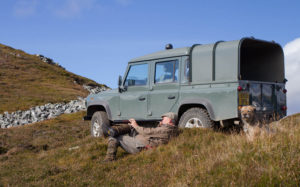 Glenesk Wildlife tours,