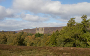 Invermark Castle, surrounded by trees