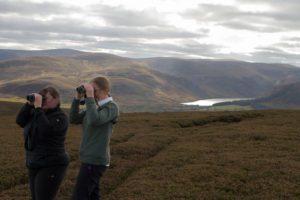 Tour guide, Glenesk Wildlife