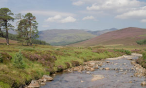 River running low. Blue sky and green hills in Scotland