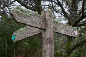 Flowerdale glen walk, Gairloch