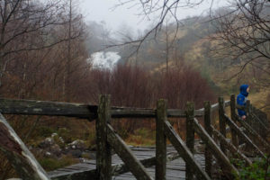 Flowerdale waterfall walk, Gairloch, NC500