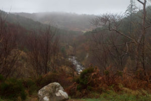 Flowerdale glen waterfall walk