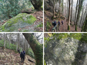 Carvings in stone, Weem Forest