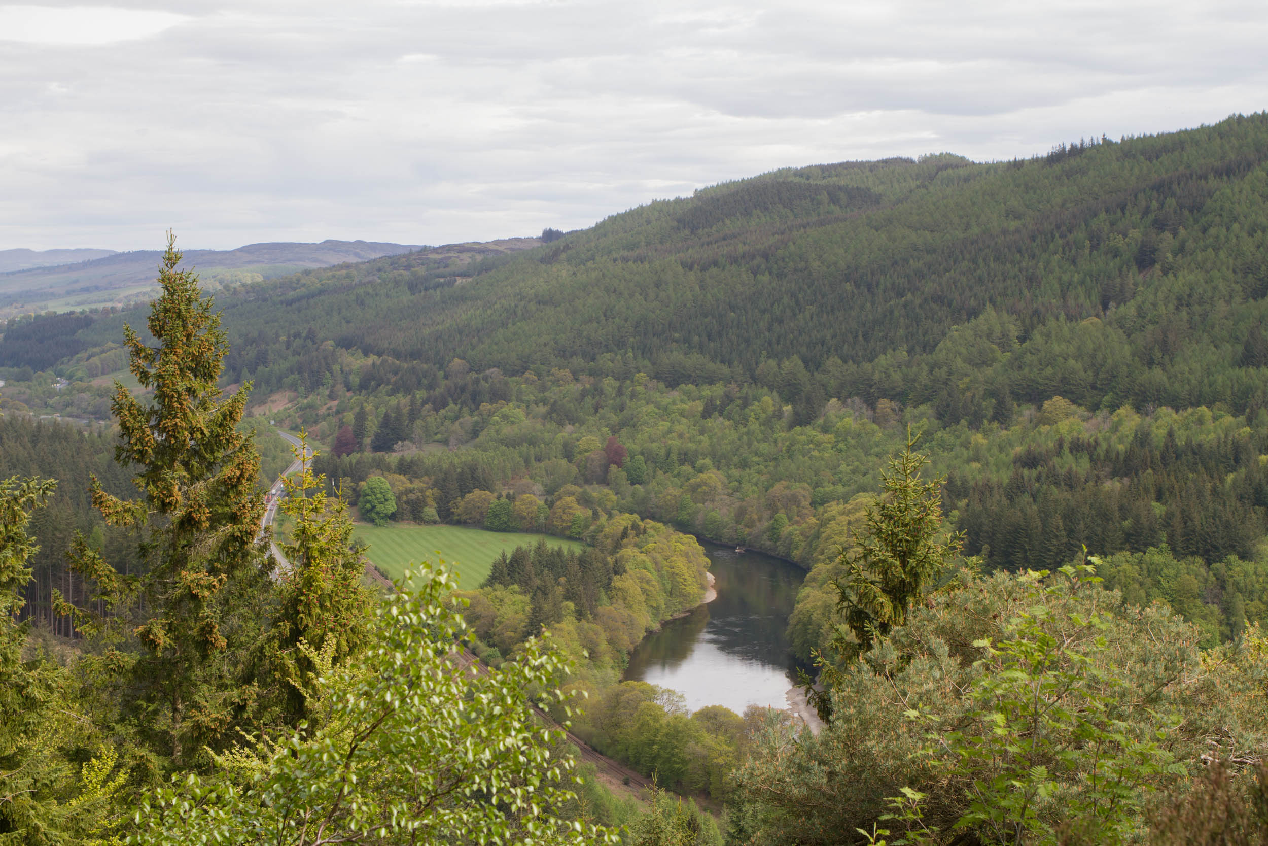 Pinecone Point, Perthshire