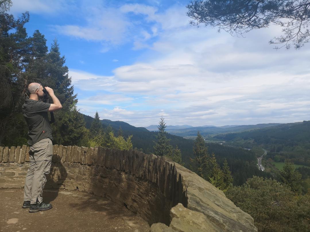 Pinecone Point, Perthshire 