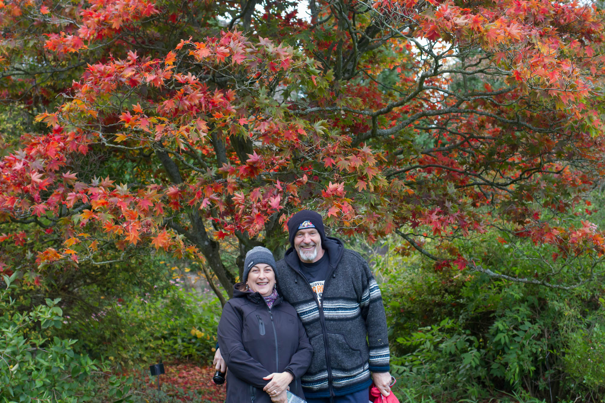 Falkland Palace Gardens in autumn