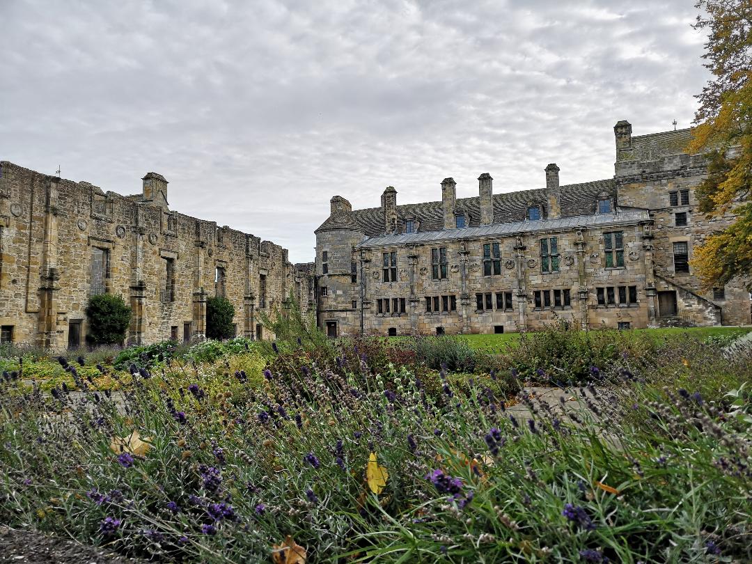 Falkland Palace, Fife. Lavender borders in the foreground and the palace walls behind