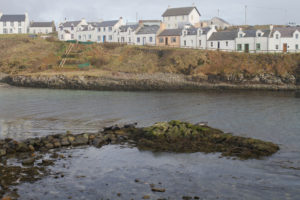 Islay Wildlife