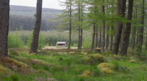 Clashindarroch Forest, cabin view. Aberdeenshire