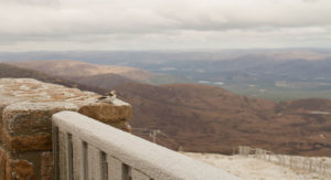 Wildlife in Scotland