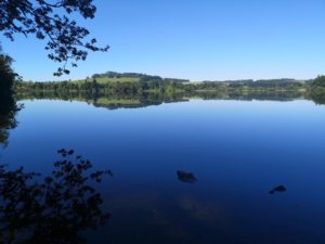 Five reasons why I enjoy wild swimming
