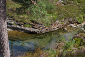 Five reasons I enjoy wild swimming