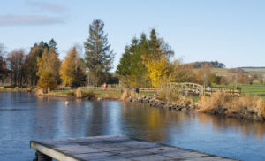 Duck pond at Biggar, Scotland
