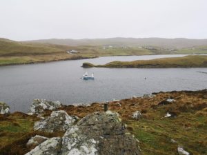 Muckle Roe, Shetland