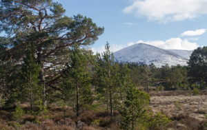 Lairig Ghru, Cairngorms