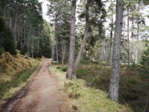 Uath Lochans, Glen Feshie, Cairngorms