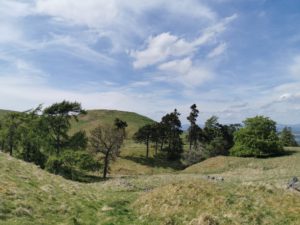 View of trees from Castle law Fort Perthshire