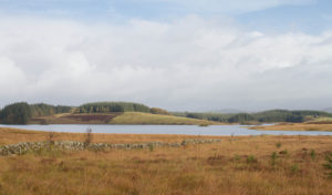 Image of a loch in South Aryshire