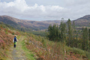 Image of a man walking along a woodland trail