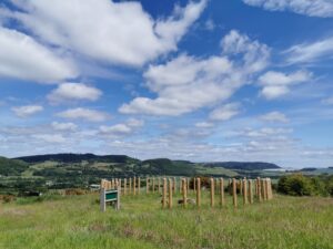Image of blue sky with whispy white clouds and a circle of wooden poles in the ground at Moncrieffe Hill, Perthshire