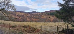 Image of: hillsides in late winter. A metal gate in the foreground. Loch Ordie walk in Perthshire