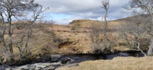 Image of: open hillside in late winter. A small stream running in the foreground and blue sky.