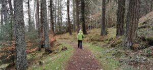 Image of: A male figure walking through the woods with trees on each side