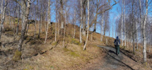 Image of: a male figure walking away from the camera through small trees at Allt na Bogair