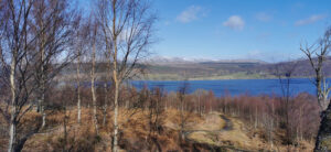Image of: Loch Rannoch in the background. Bare trees in the foreground at Allt na Bogair