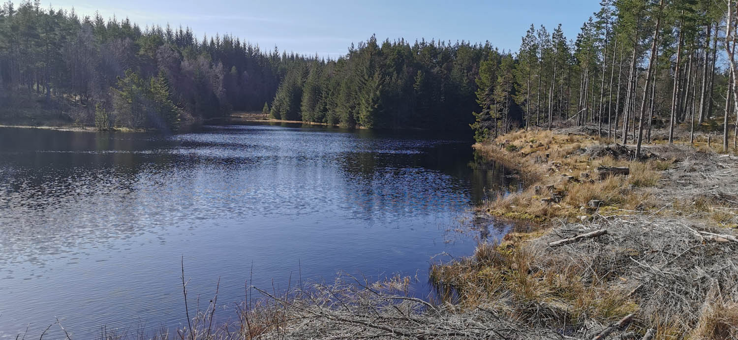 Image of: a loch at Allt na Bogair. Tall trees in the background 