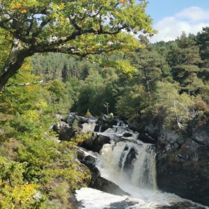 Image of Rogie Falls