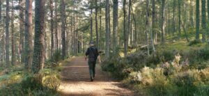 Image of: Loch Ness Walk